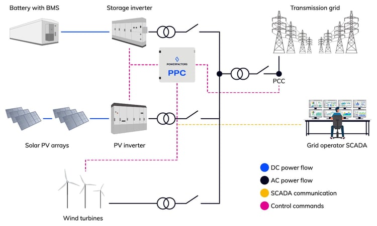 hybrid plant diagram