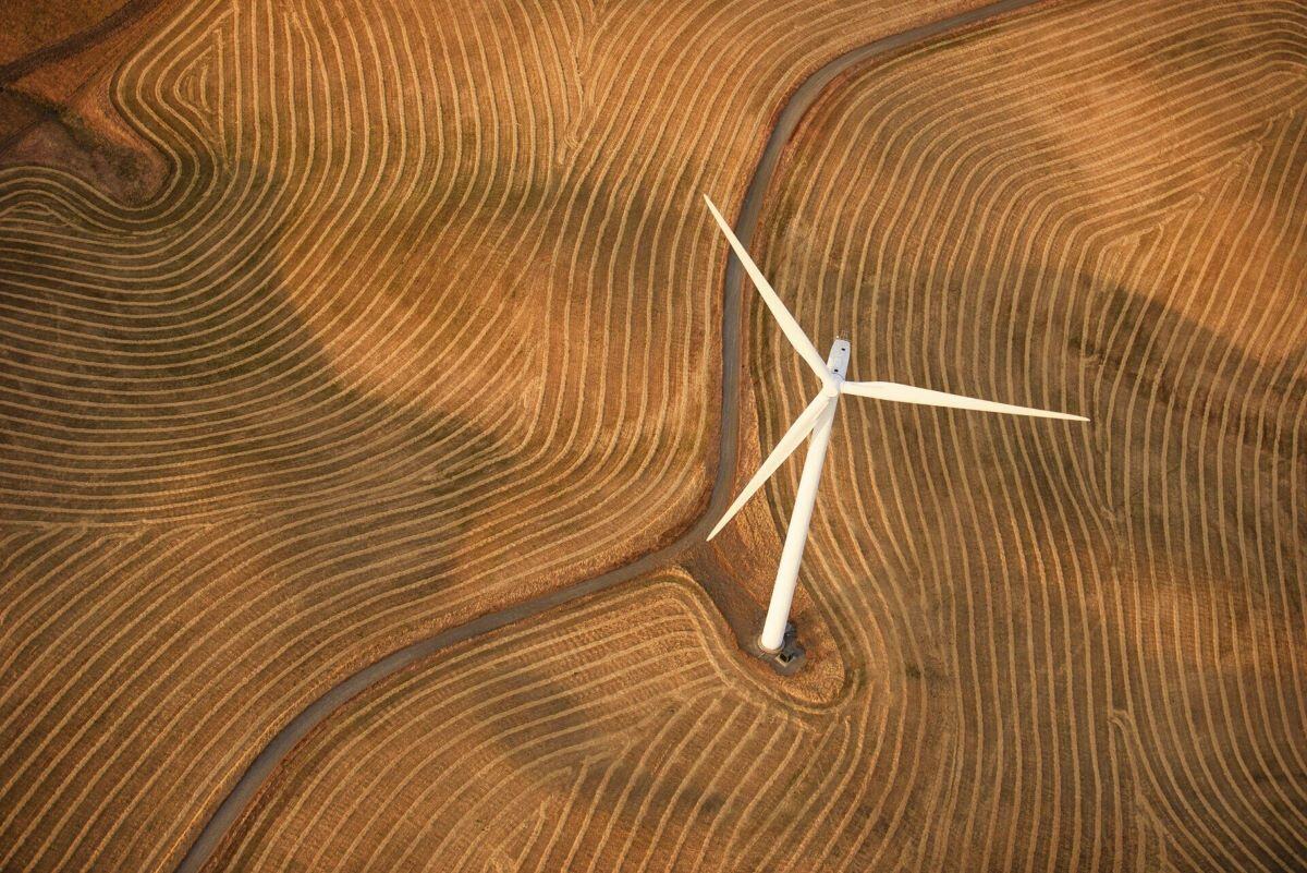 aerial view of brown field and one wind turbine